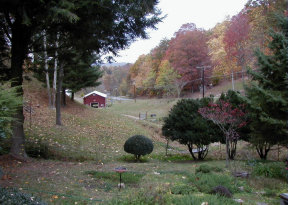 view from deck