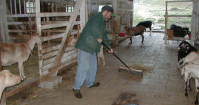 sweeping the barn