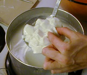 Testing the curd