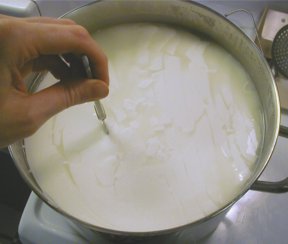 Cutting the curds 
