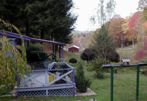 front yard